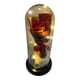 thumbnail image 1 of Rosa Eterna Flor Regalo Flor Artificial Luz Led, 1 of 4