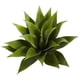 thumbnail image 1 of Planta artificial de agave casi natural, suculenta, 43 cm (juego de 2), 1 of 1