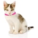 thumbnail image 5 of Collar para gato con forma de corazón brillante, cinturón de seguridad y cascabel, de 8 a 11 pulgadas, 5 of 5
