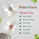 thumbnail image 5 of Mascarilla de Arcilla Plant Guru 2,3 kg Natural de la India, 5 of 6