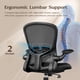 thumbnail image 2 of Silla de escritorio FelixKing ergonómica de malla lumbar ajustable, 2 of 8