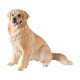 thumbnail image 3 of Figura De Perro Realista, Excelente Mano De Obra, Recuerdo, Figura De Animal Coleccionable, Marrón Claro, 3 of 3
