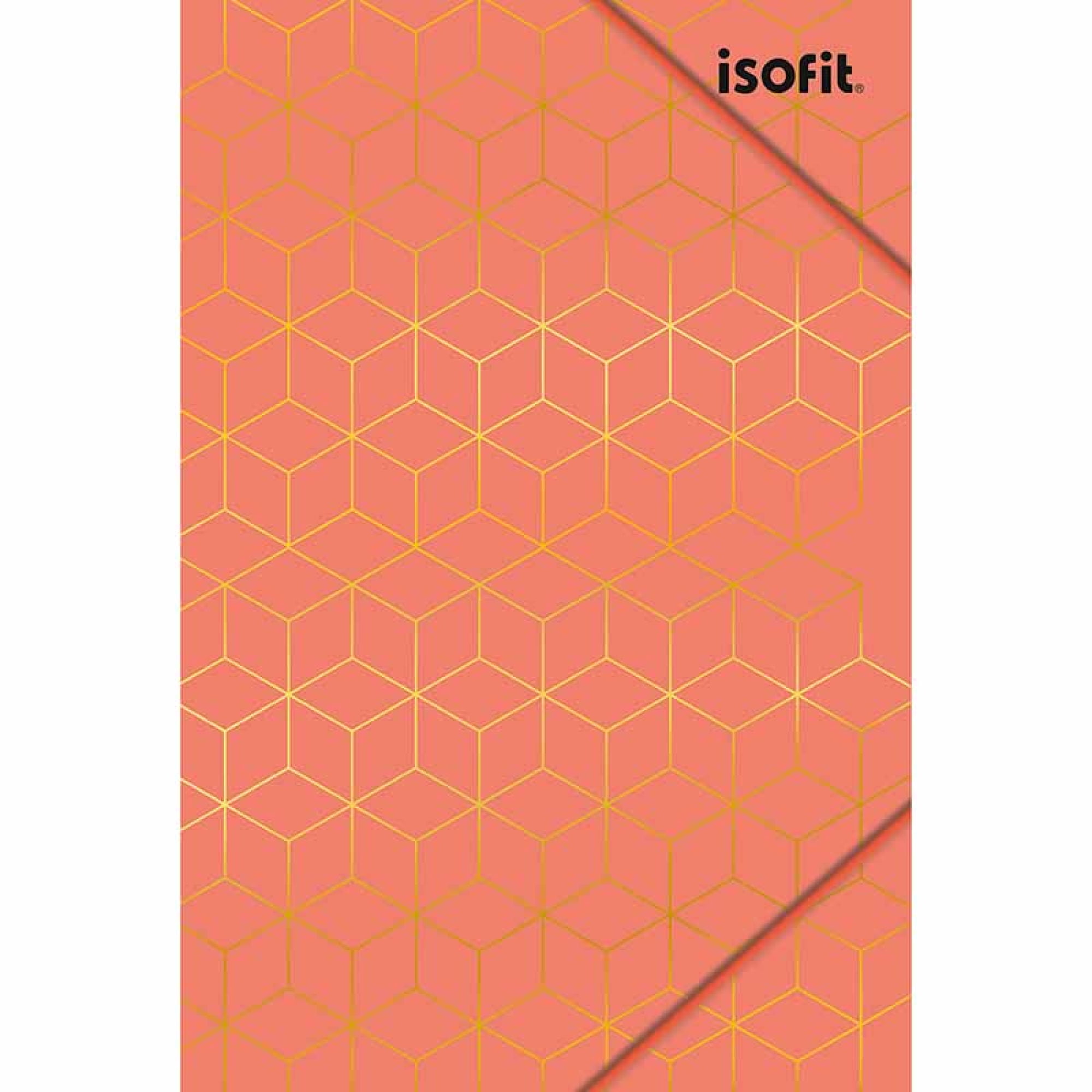 Carpeta Plastica Con Elásticos Isofit