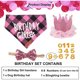 thumbnail image 3 of Set de cumpleaños para perro ADOGGYGO con sombrero y bandana, 3 of 3