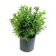 thumbnail image 1 of Planta artifical 20cm, 1 of 2