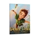 thumbnail image 1 of Cuadro Decorativo Desmarcar Peter Pan Enmarcado 20x30 cm, 1 of 6