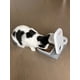 thumbnail image 4 of Juego de 2 Insertos de Acero Inoxidable para Comedero Cat Mate 402, 4 of 7