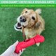 thumbnail image 5 of Soporte Bully Stick GoSports Chew Champ para perros de 6 u 8 pulgadas, 5 of 7
