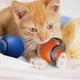 thumbnail image 5 of Juguete para gatos, juguete interactivo de nueva generación, juguetes interactivos para gatos de interior, pelota interactiva inteligente, pelota con movimiento automático y cola., 5 of 5