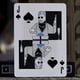thumbnail image 4 of Playing Cards Theory11 Saturday Night Live Multi, 4 of 9