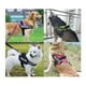 thumbnail image 2 of Arnes Pechera K9 Alcochado Reforzado Perros Pequeños Talla M, 2 of 3