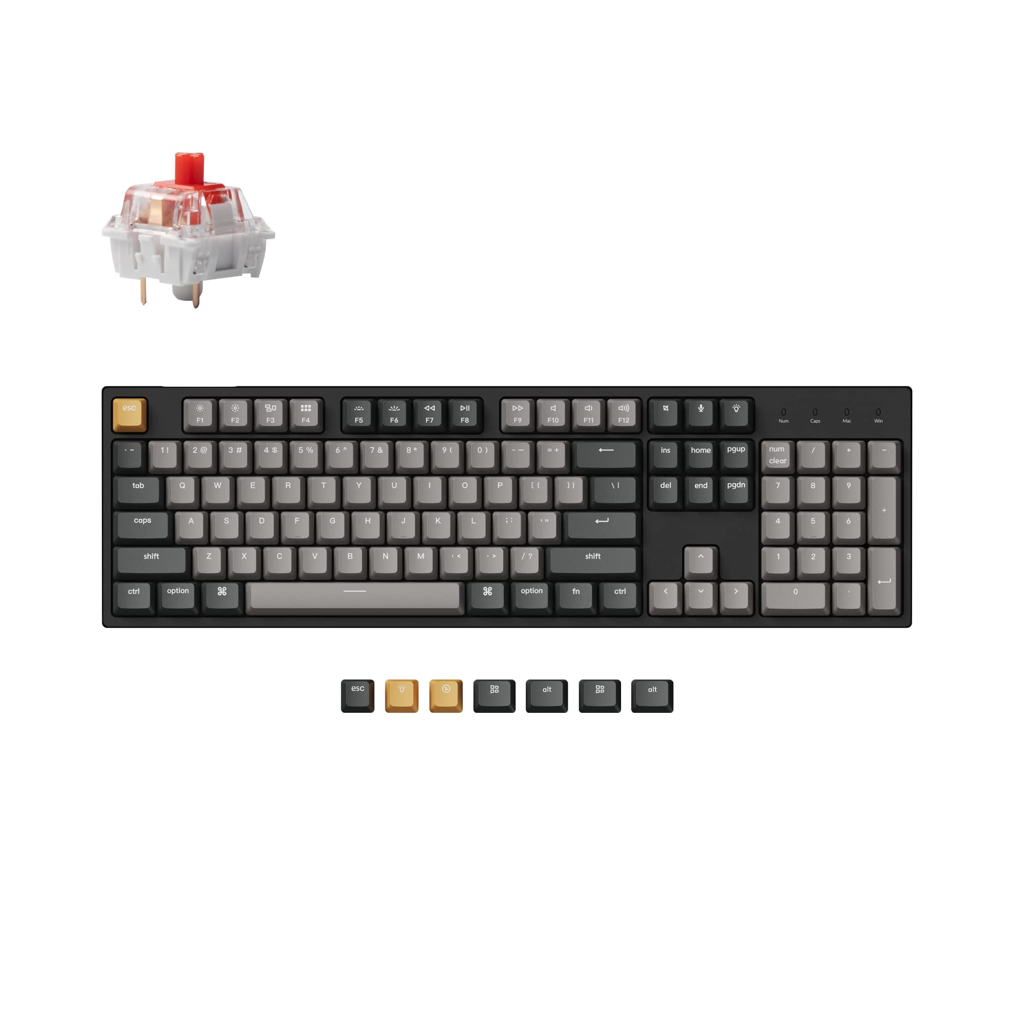 Teclado Mecánico Keychron C2 Pro Con Cable Rgb Intercambiable En Caliente