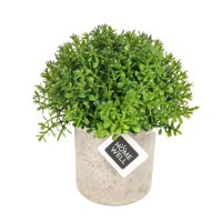 Homewell - Magnetico Diseño Mandala Multicolor 5Cm