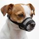 thumbnail image 1 of Mordaza para Perro OHNSO Pequeña de Malla Transpirable 2,3‑6,8 kg, 1 of 8