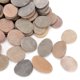 thumbnail image 5 of Piedras de Manualidad BLXQI 3‑5 cm Gris 232‑240 uds 8,3 kg, 5 of 9