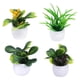 thumbnail image 3 of 4x Mini Casa De Muñecas Plantas En Macetas De Plástico Jardín De Hadas Para Decoración De Casa De Muñecas, 3 of 5