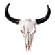 thumbnail image 2 of Escultura De Pared Con Forma De Calavera De Vaca Y Cuerno De Animal Para Sala De Estar, 2 of 5