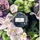 thumbnail image 5 of Vela Voluspa Apple Blue Clover 340 g con 3 mechas en lata, 5 of 6