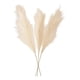 thumbnail image 1 of Set 2 Tallos Artificiales Decoración Esponjosa Bohemia Jhn, 1 of 3