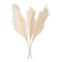 Genérico - Set 2 Tallos Artificiales Decoración Esponjosa Bohemia Jhn