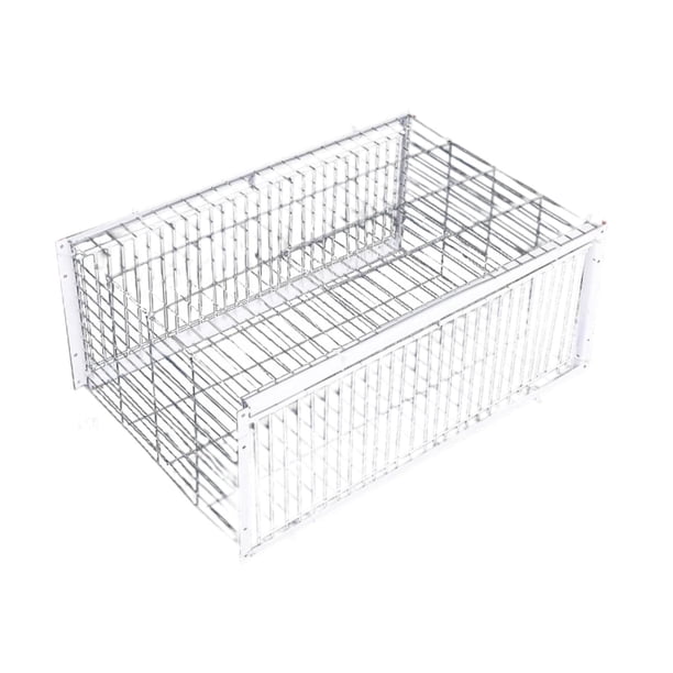 Jaula trampa para palomas, suministros para pájaros, fácil montaje, puerta de entrada de una sola vía, jaula para pájaros para S