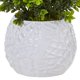 thumbnail image 3 of Planta artificial de madera de boj casi natural de hoja perenne con jarrón blanco, 3 of 5