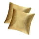 thumbnail image 1 of Fundas de cojín decorativas de terciopelo para sofá cama, paquete de 2, fundas de cojín suaves (doradas, juego de 2), 1 of 7