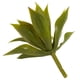 thumbnail image 5 of Minijuego de plantas artificiales de agave casi naturales y suculentas, 12 unidades, 5 of 5