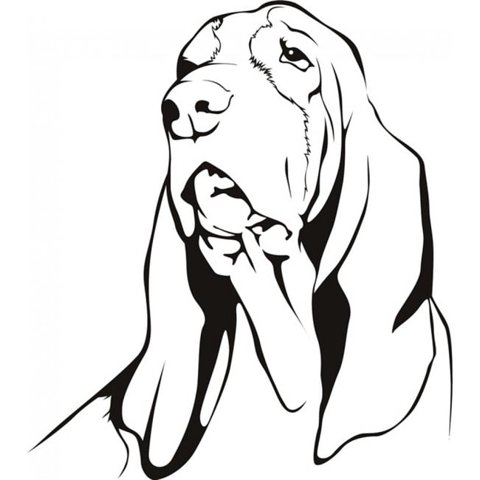 Rienda Libre Graphics - Decomural Basset Hound Dog Ws-18704