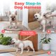 thumbnail image 3 of Arnés para perro Best Pet Supplies pequeño color caqui con malla de aire, 3 of 8