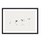 thumbnail image 1 of Cuadro Aves En La Playa con Marco Negro 50x40 CM, 1 of 1