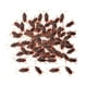 thumbnail image 3 of 100x Cucarachas Falsas Juguetes Cucarachas Realistas Para Halloween Holiday Home S, 3 of 5