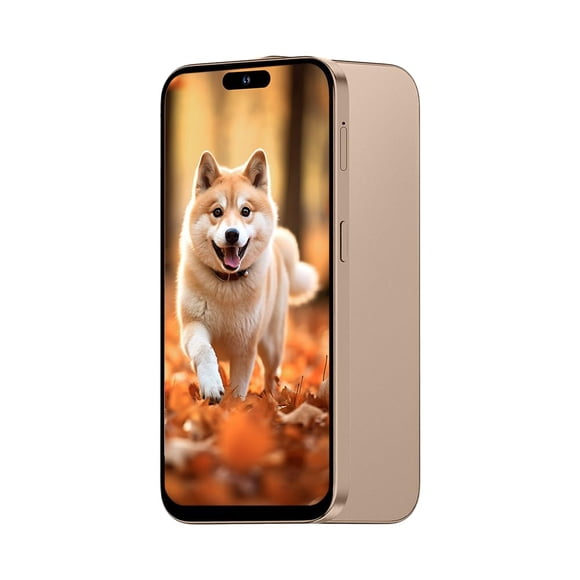 Smartphone Desbloqueado 3g De 6 6 Pulgadas 16 Gb De Almacenamiento Android 10