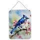 thumbnail image 1 of Letrero de aluminio para colgar en pared o puerta Caroline's Treasures Blue Jay, 1 of 3