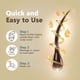 thumbnail image 3 of Aceite capilar HAIRMETTO Topical Saw Palmetto y semillas de calabaza 120 ml, 3 of 3
