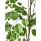 thumbnail image 2 of Planta Decorativa Arbol De Eucalipto 150cm, 2 of 3