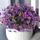 thumbnail image 1 of Flores Artificiales ZFProcess Plantas Falsas para Exterior 12 Paquetes, 1 of 9