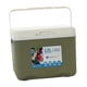 thumbnail image 1 of Nevera Aislante Con Mango Resistente Para Barbacoa, Bebida Deportiva, Pesca, Verde, 1 of 4