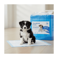 Genérico - Paquete 50 Unidades Sabanillas Desechables Para Entrenamiento Mascotas Perros 90X60 Cm