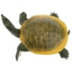 thumbnail image 2 of Simulación Animal Modelo Figura Juguetes Estatuilla Decoración Para El Hogar Tortuga De Caparazón Blando, 2 of 5