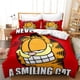 thumbnail image 1 of Gar-field 3 PCS Comfort Set with 2 Pillowcases Garfiel-d Bedding Set Sheet Set for Kids Adults,All Season Lightweight, 1 of 5