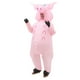 thumbnail image 3 of Disfraz Inflable Chancho Cerdo Adulto, 3 of 3