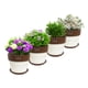 thumbnail image 3 of Set de 4 Maceta Greta 19cm Blanca y sus platos, 3 of 3