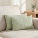 thumbnail image 1 of REGALWOVEN Fundas de Almohada de Pana Juego de 2 Fundas de Cojín Decorativas Sólidas para Sofá, Cama, Decoración del Hogar Verde Claro 12" x 20", 1 of 7