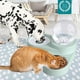 thumbnail image 1 of Bebedero Fuente de Agua y comida para Mascotas - Verde, 1 of 2
