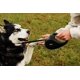 thumbnail image 3 of Correa retráctil para perros TUG 360°, cinta de nailon de 16 pies, sin enredos, 3 of 6