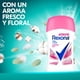 thumbnail image 3 of Desodorante Barra Antitranspirante Rexona Powder Dry Mujer, 45 g, 3 of 3