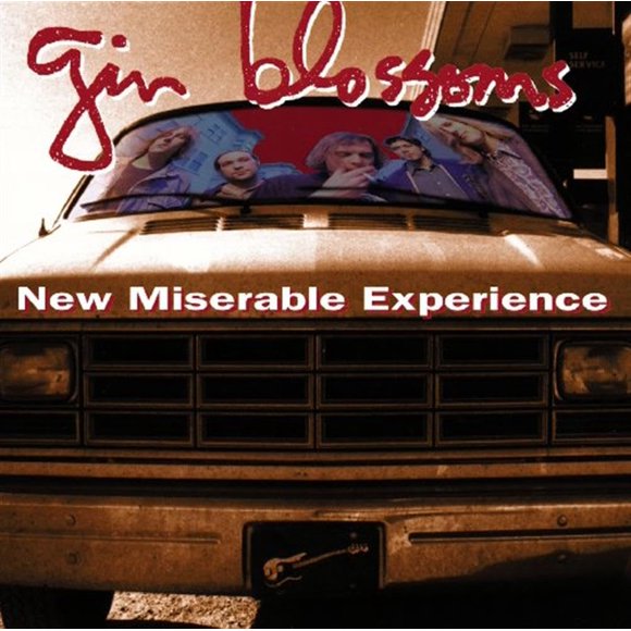 CD A&M New Miserable Experience – 12 pistas