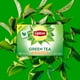 thumbnail image 4 of Bolsitas de té verde descafeinado Tea Lipton, 240 unidades, sin azúcar, 4 of 9