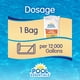 thumbnail image 5 of Tratamiento de choque Pool Essentials 24 paquetes de 10,9 kg en gránulos, 5 of 9